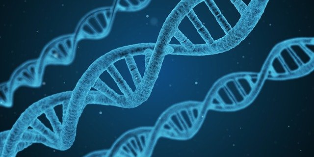 DNA- Strang 